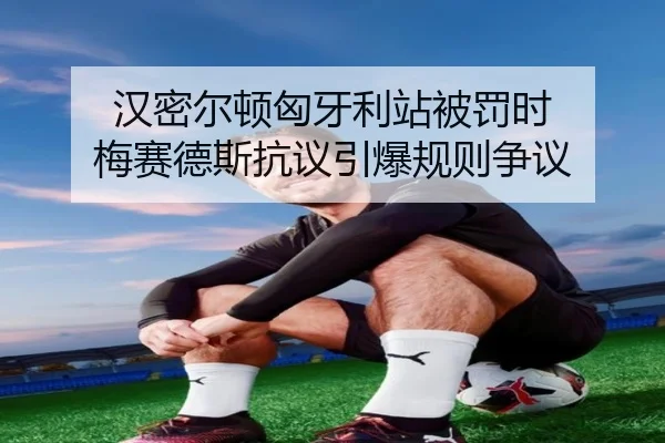 han-mi-er-dun-xiong-ya-li-zhan-bei-fa-shi-mei-sai-de-si-kang-yi-yin-bao-gui-ze-zheng-yi-2-908.jpg